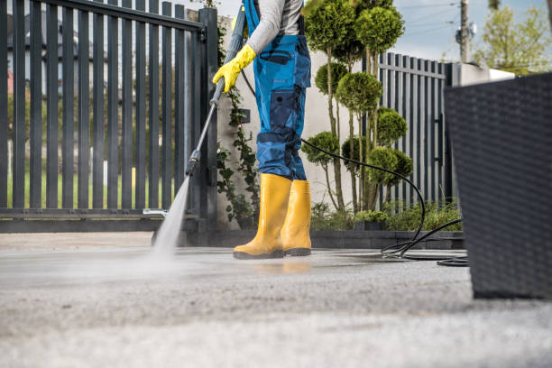 Best Affordable Pressure Washing  in Tyro, NC